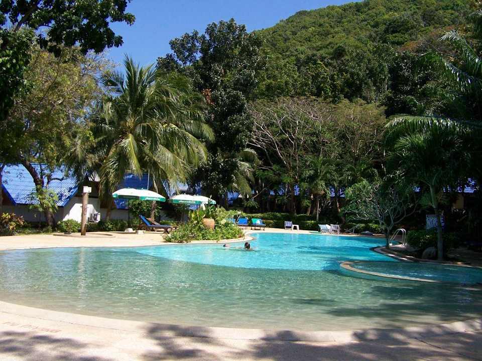 Pool: sonnig und schattig Hotel Coral Island Resort