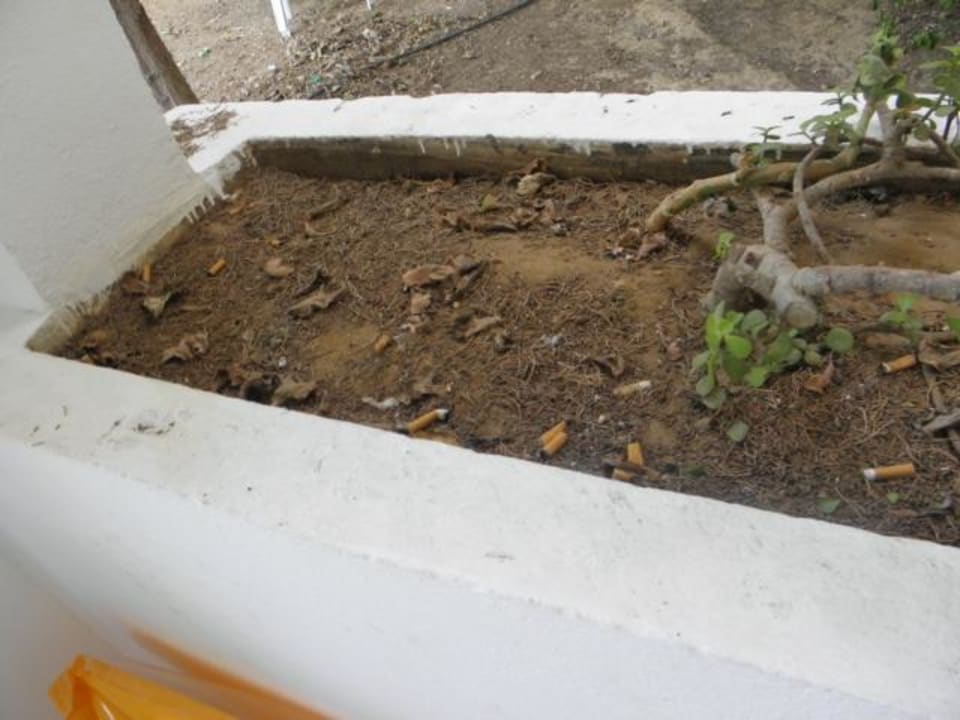 Balkon El Mouradi Club Kantaoui