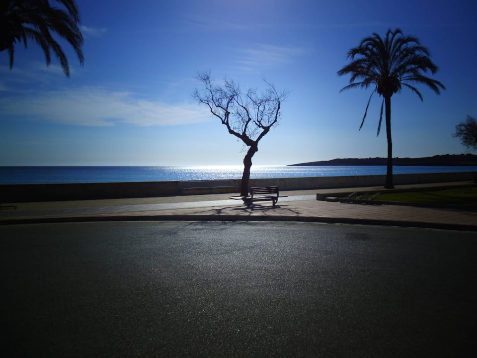 Blick zum Meer Hipotels Hipocampo Playa