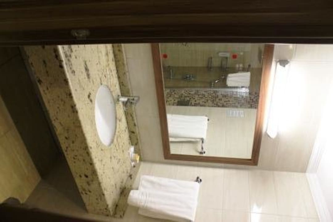 Bad Dizalya Palm Garden