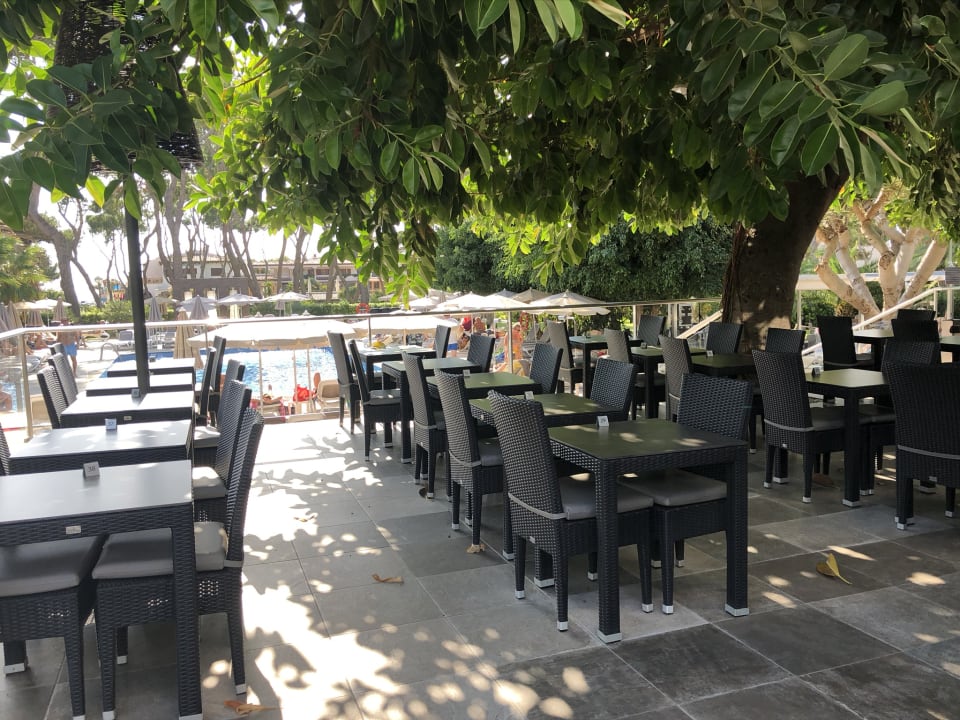 Gastro Hotel Riu Festival