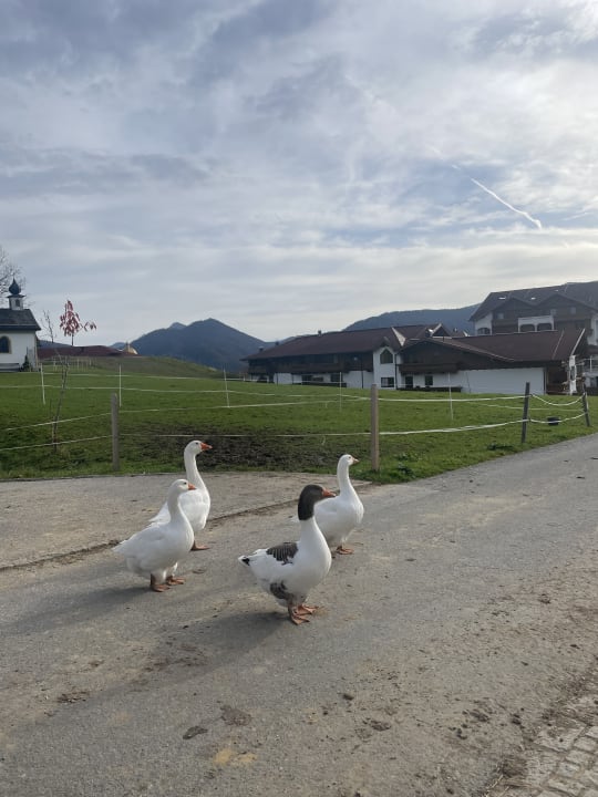 Außenansicht Wohlfühlresort Peternhof