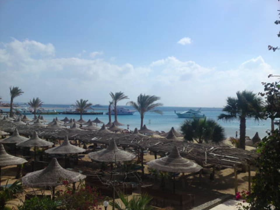 Blick aus dem T-Block Giftun Azur Resort