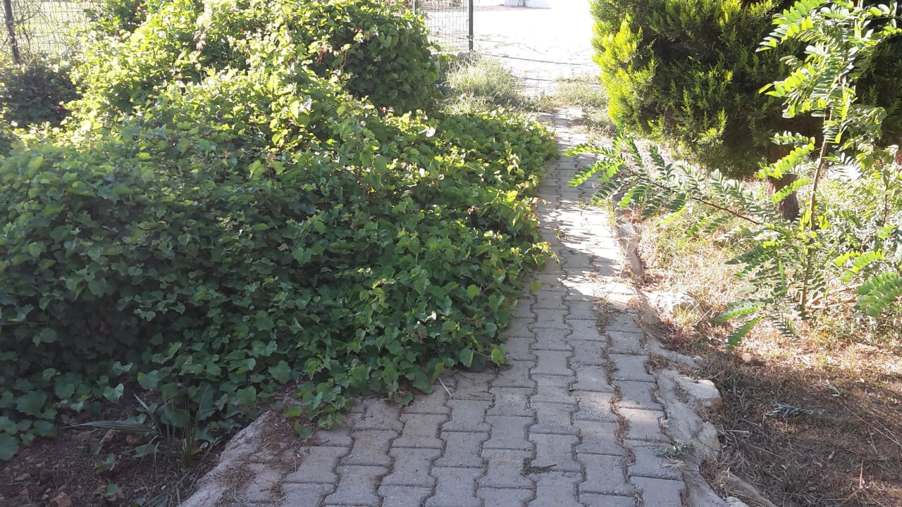 Weg zur Sportanlage  Teos Village