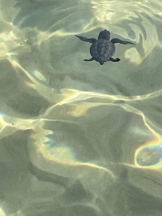 Strand Anemos Luxury Grand Resort