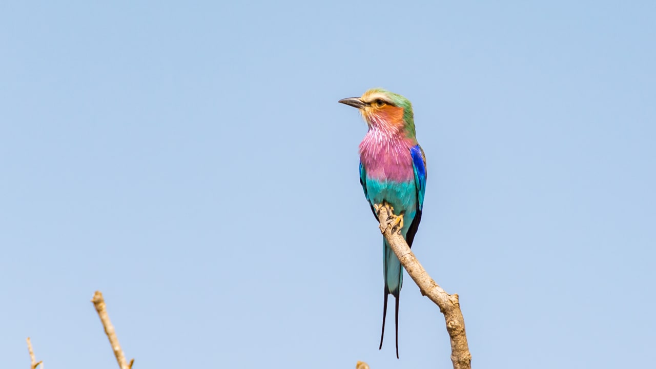 Sonstiges Hotel Rio Vista Lodge