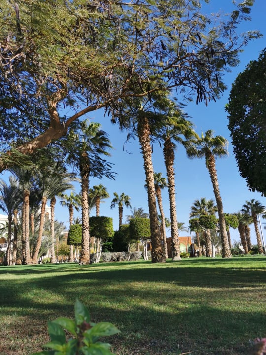 Gartenanlage The Grand Palace - Adults only