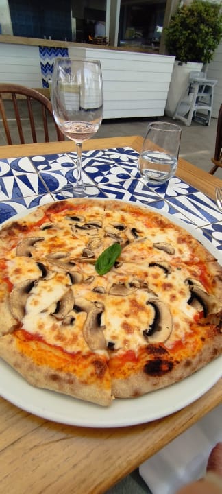 Gastro Acanthus Cennet Barut Collection