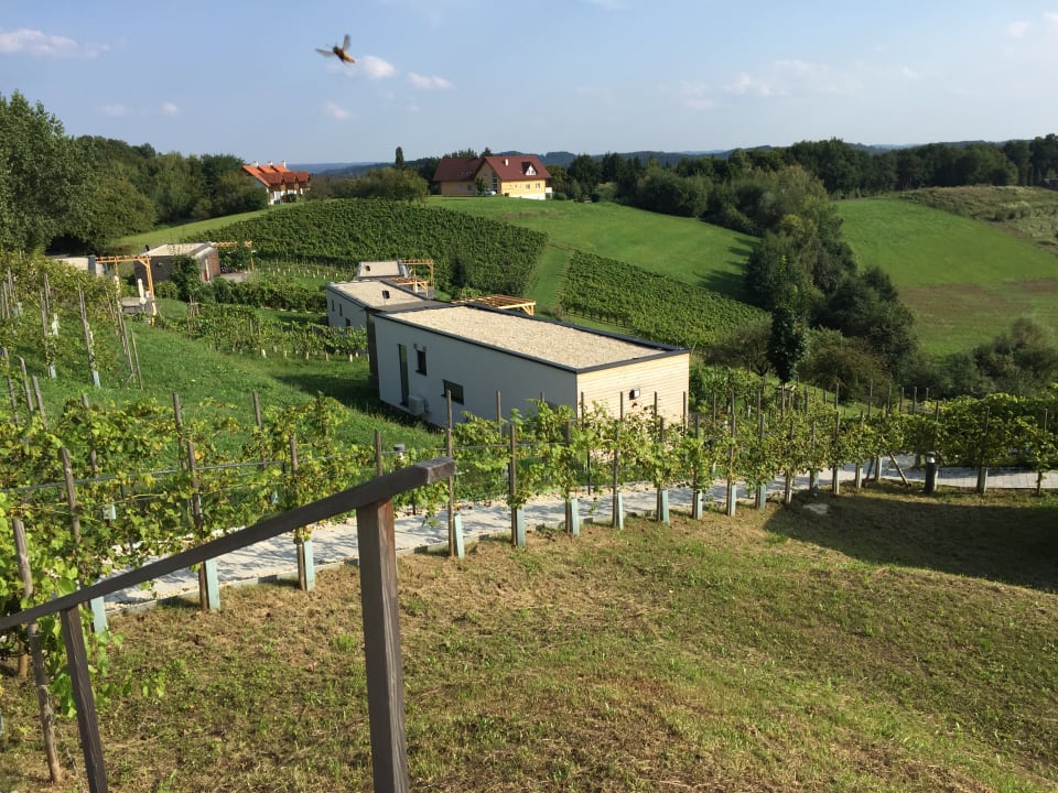 Außenansicht Weingarten-Resort Unterlamm Loipersdorf