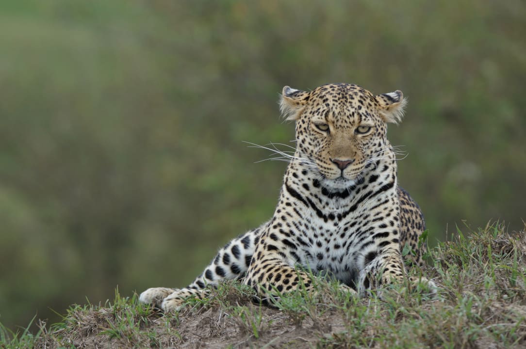 Sport & Freizeit Aruba-Mara Camp