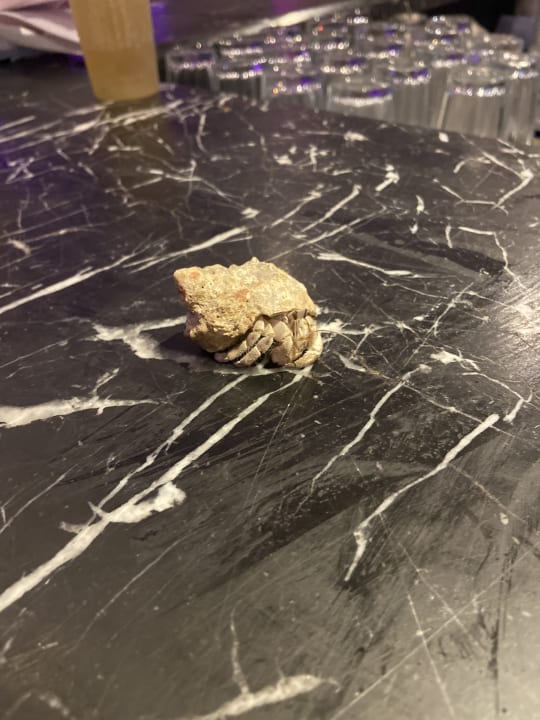 Sonstiges Cleopatra Luxury Resort Makadi Bay