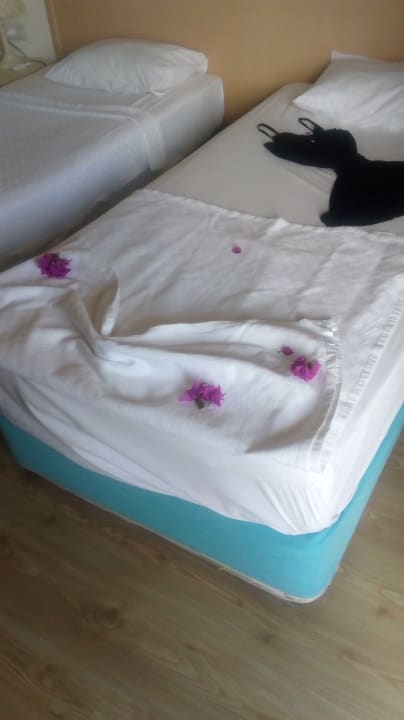 Zimmer Aska Hotel Just in Beach