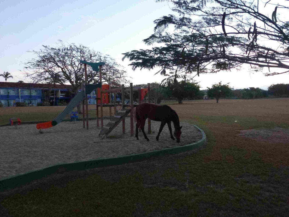 Amigo Rancho Luna Hotel Club Amigo Rancho Luna