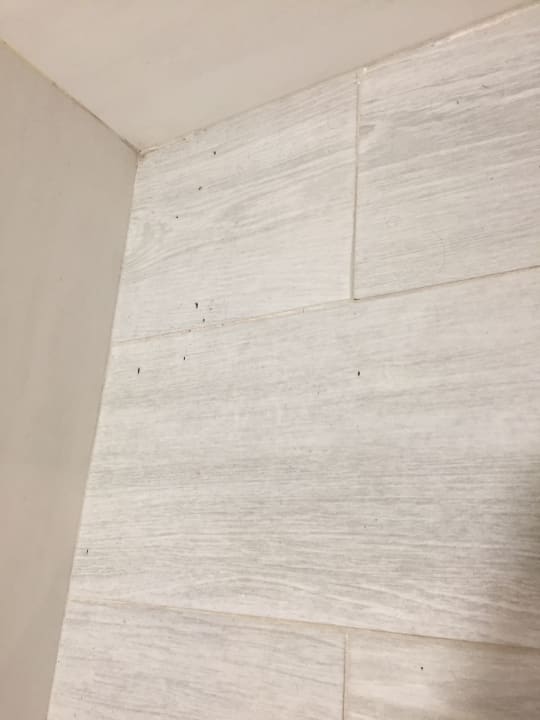 Zimmer Alcudia Garden Aparthotel