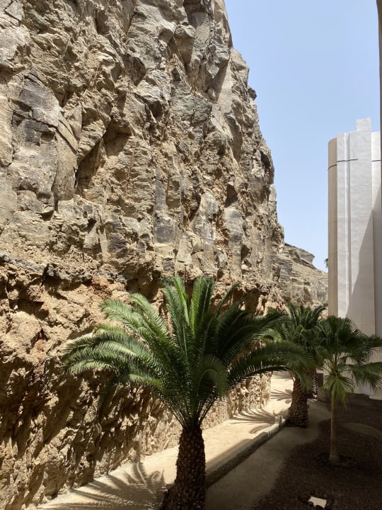 Sonstiges Princess Taurito