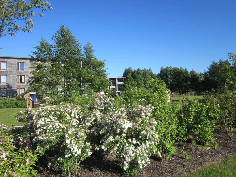 Hotelpark mit Strandkörben Ostseehotel Dierhagen