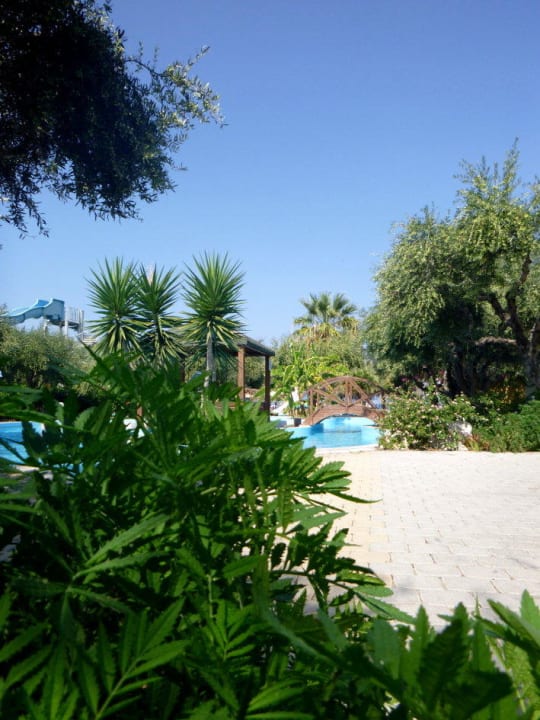 Poolanlage, schön gestaltet TUI KIDS CLUB Alex Beach