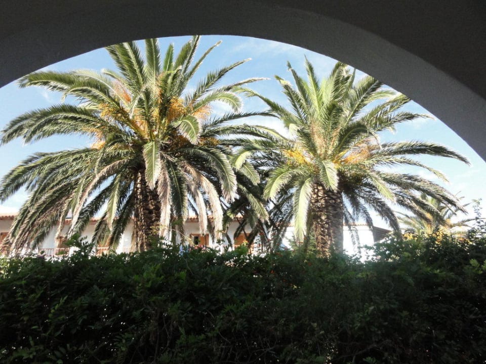 Herrlicher Ausblick  Filorian Hotel Apartments