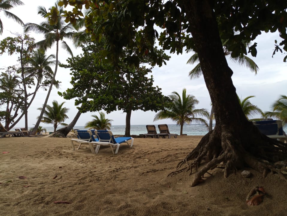 Strand Grand Paradise Playa Dorada