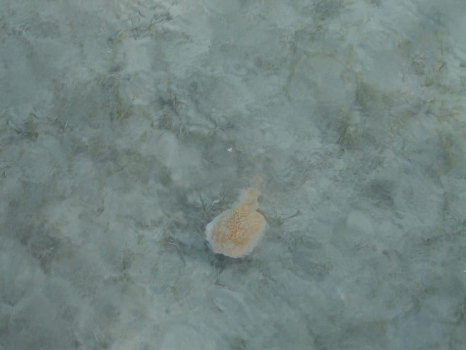 Strand Casa Mare Resort