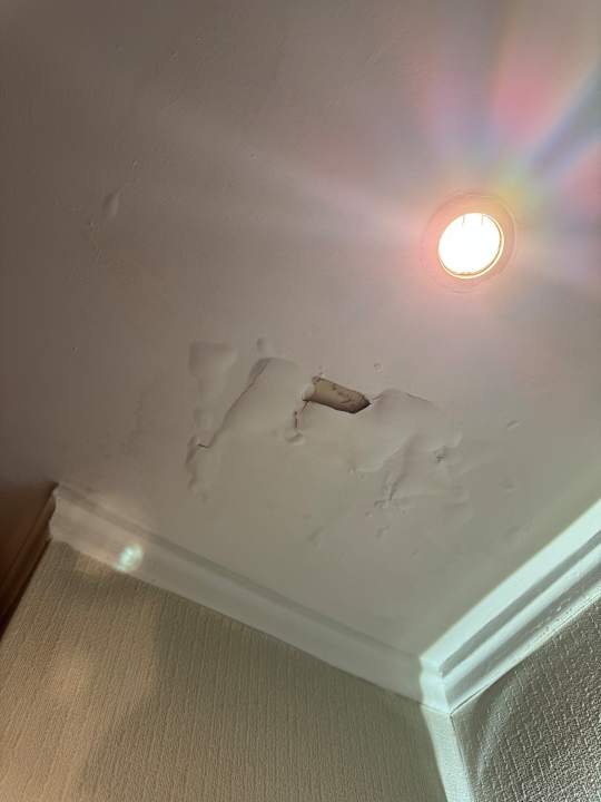 Zimmer Serenity Queen Hotel