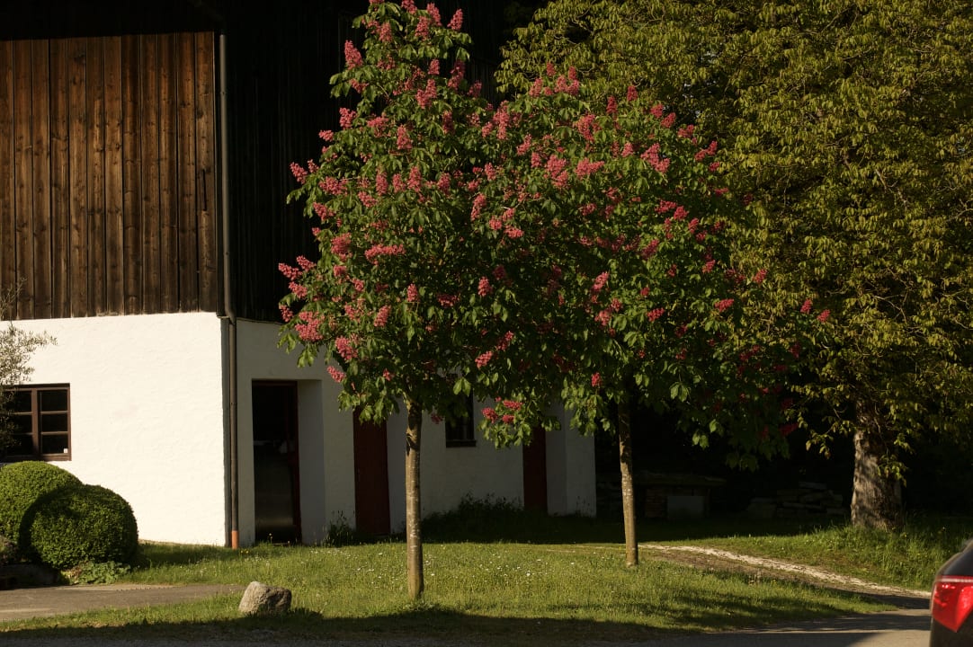 Ausblick Zuhäusl am Chiemsee