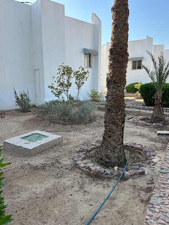 Außenansicht Menaville Safaga