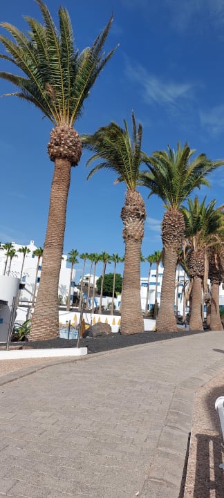 Außenansicht Aparthotel Costa Mar