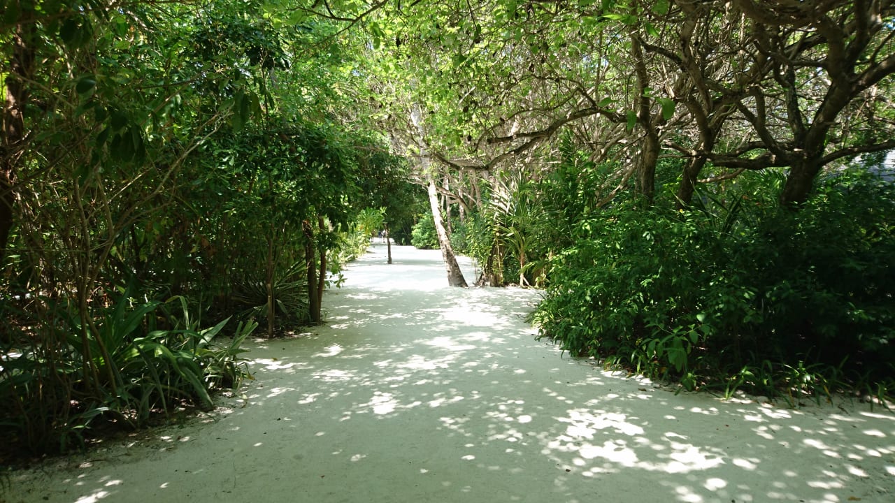 Außenansicht Summer Island Maldives