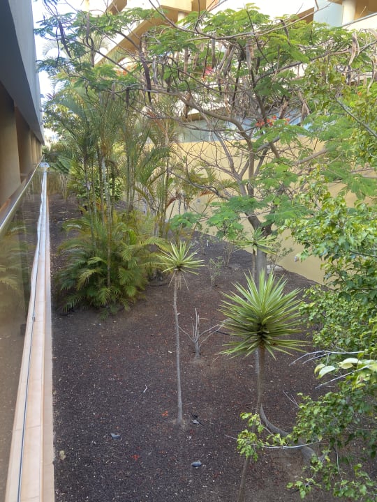 Gartenanlage Iberostar Waves Gaviotas Park