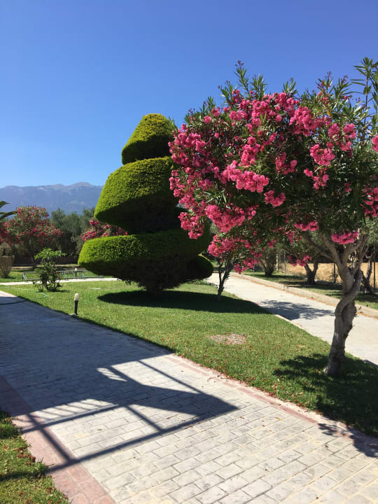 Gartenanlage Corali Hotel