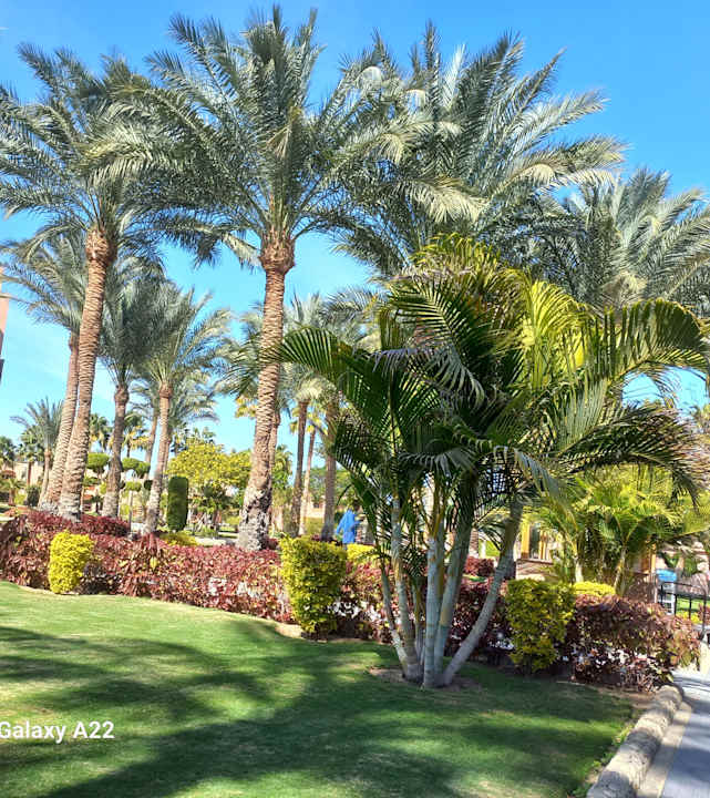 Gartenanlage Continental Hotel Hurghada