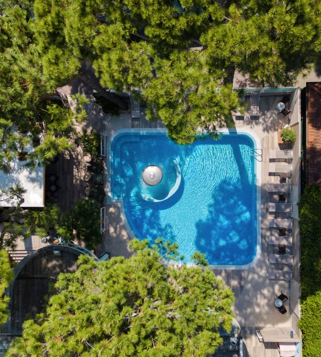 Pool Hotel Alexander
