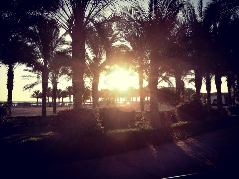 Gasrtenanlage Dream Lagoon Resort & Aqua Park