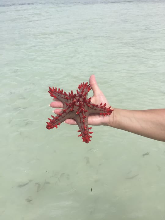 Strand Neptune Village Beach Resort & Spa