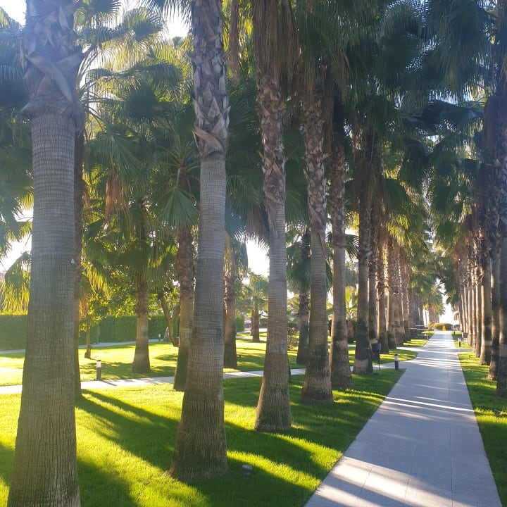 Gartenanlage Hotel Miramare Beach