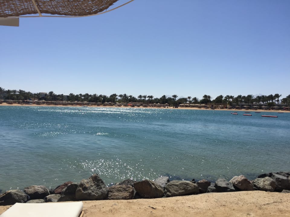 Außenansicht Desert Rose