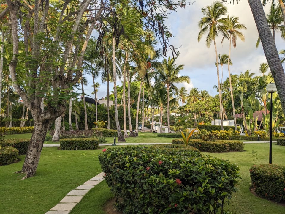 Gartenanlage Hotel Grand Palladium Palace Resort, Spa & Casino