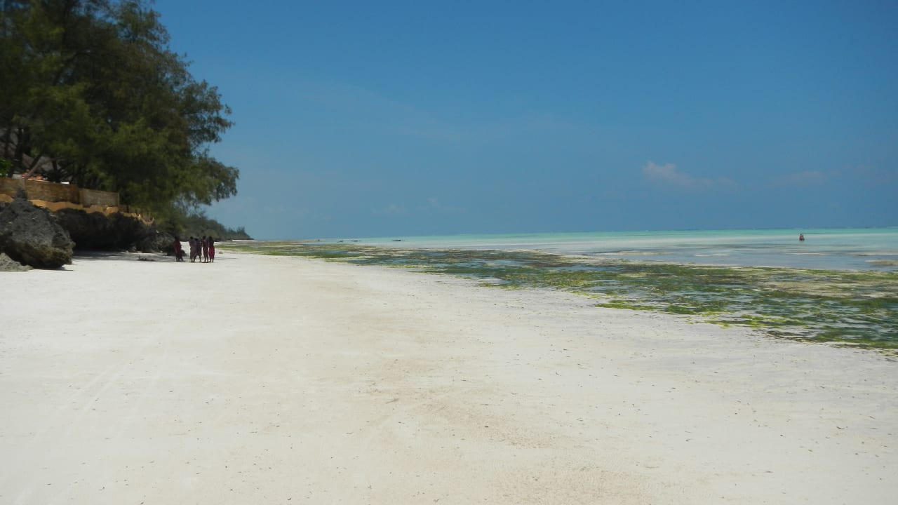 Strand Tulia Zanzibar Unique Beach Resort