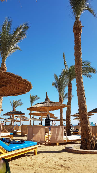 Strand Pickalbatros Palace Resort