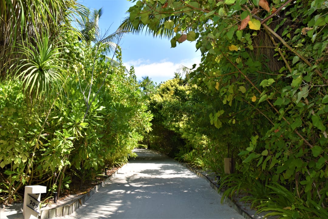 Gartenanlage NH Collection Maldives Havodda Resort