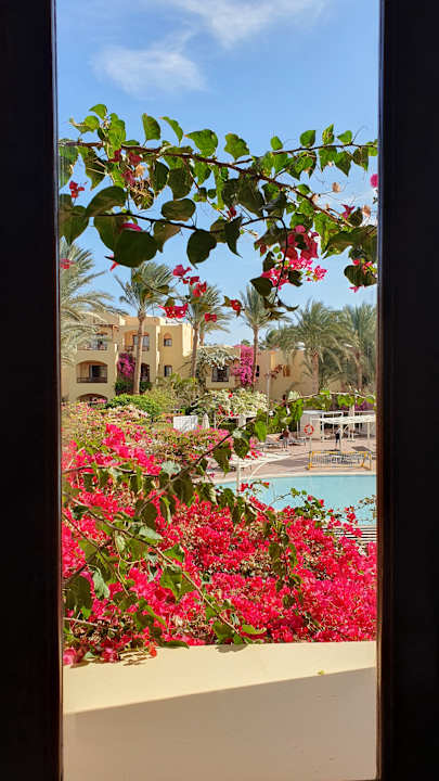 Ausblick Steigenberger Coraya Beach - Adults only