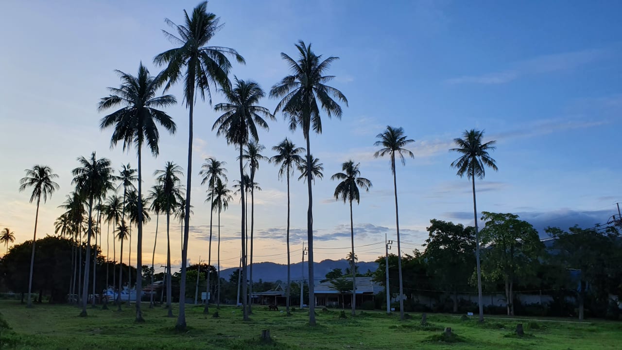 Ausblick Centara Villas Samui