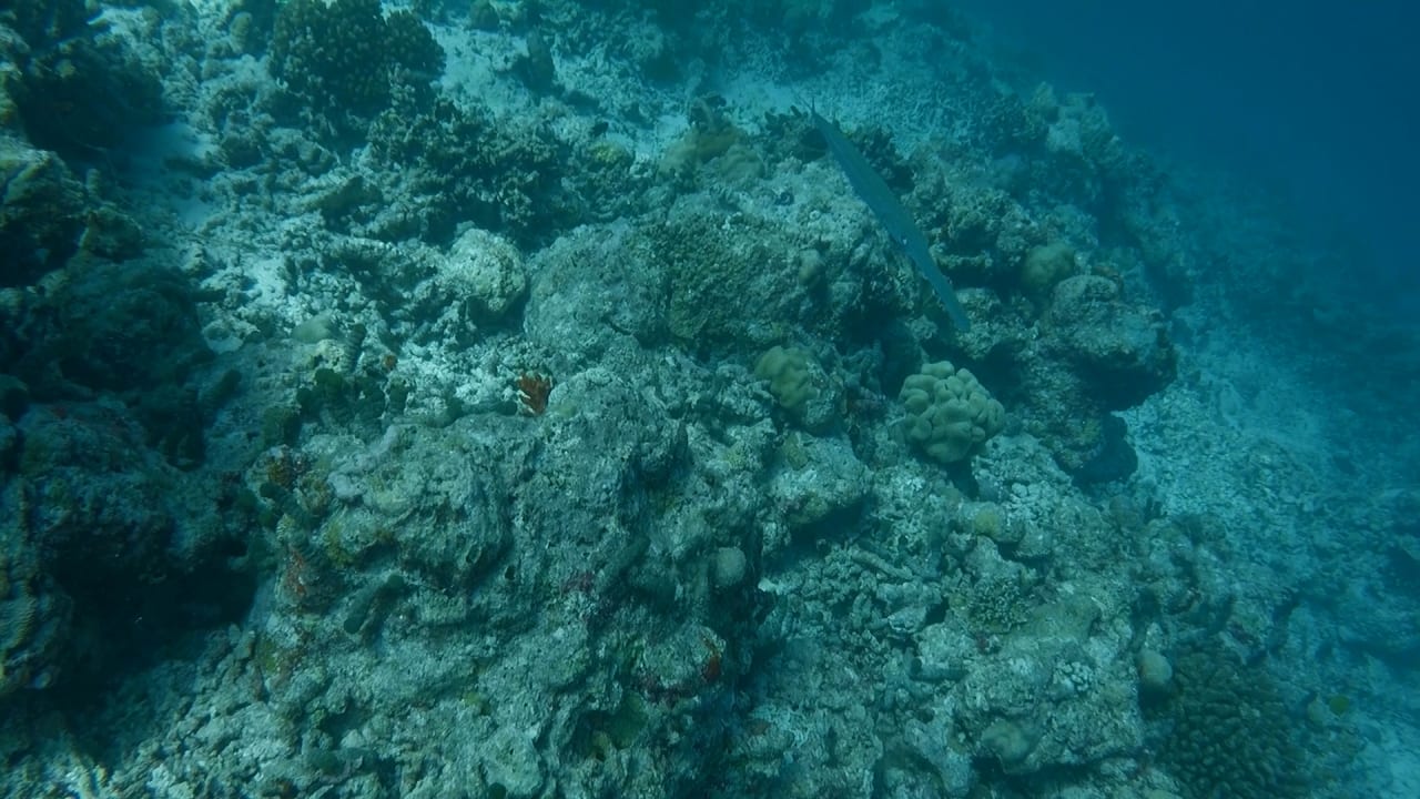 Sport & Freizeit Furaveri Maldives