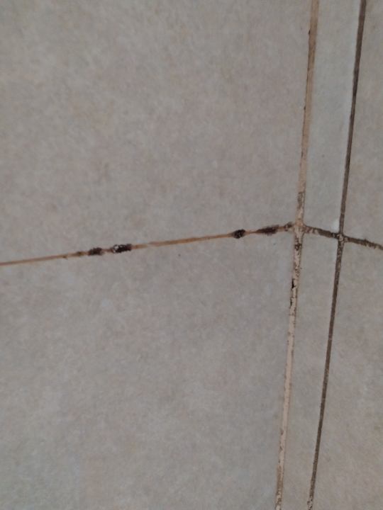 Sonstiges Watching Lisbon Apartments