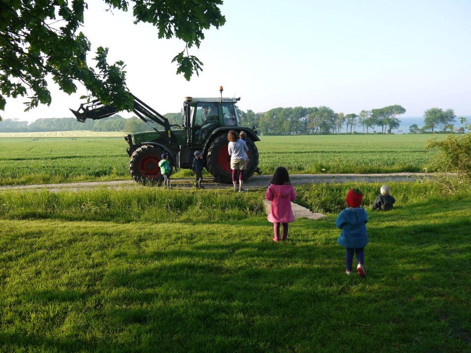 Großartiges Erlebnis für unsere Lütten Ferienbauernhof Liesenberg mit Meerblick