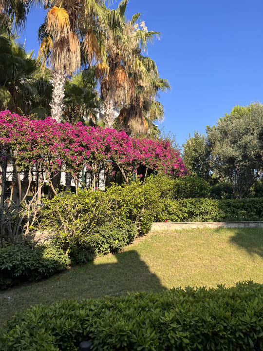 Gartenanlage Miramare Queen Hotel
