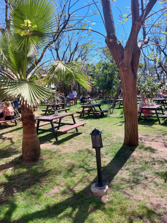 Gartenanlage Seaden Sea World Resort & Spa