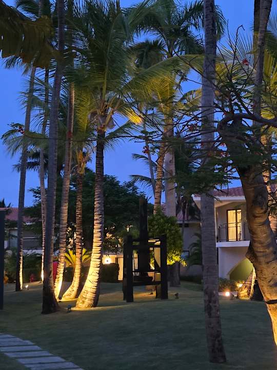 Gartenanlage Dreams Flora Resort & Spa - All Inclusive