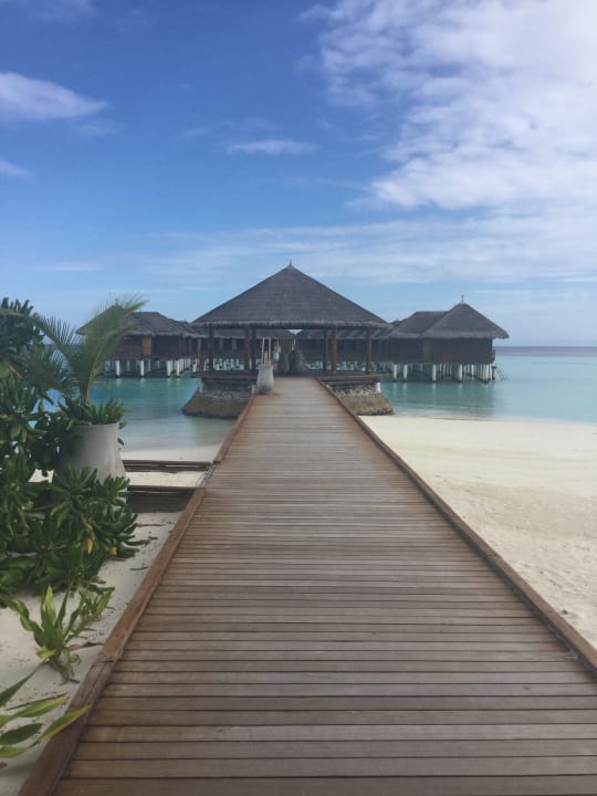 Strand Outrigger Maldives Maafushivaru Resort